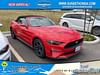1 thumbnail image of  2021 Ford Mustang EcoBoost Premium