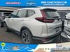 7 thumbnail image of  2021 Honda CR-V Special Edition